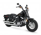 2008 Harley-Davidson FLSTSB Softail Cross Bones photo